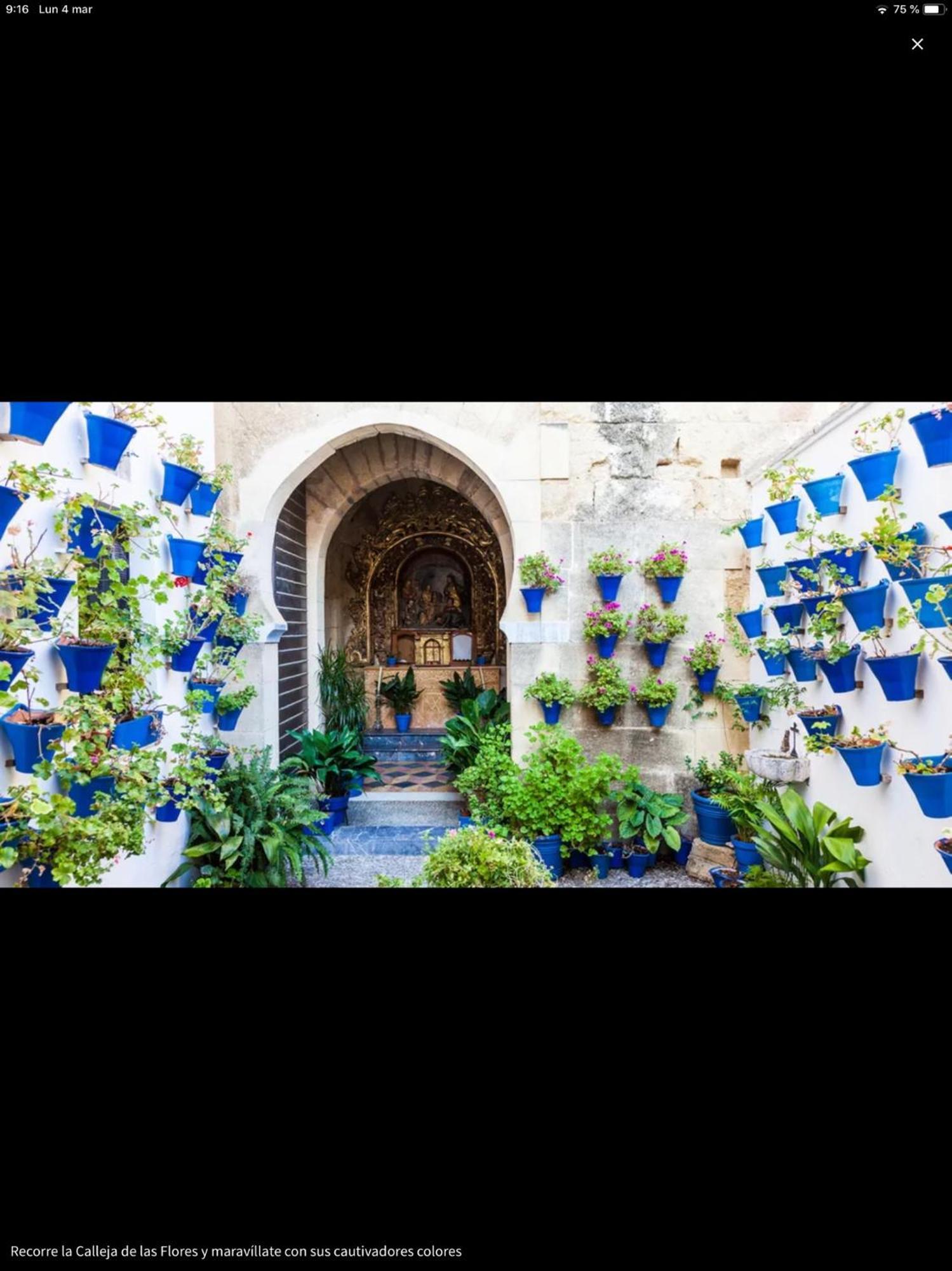 Apartamento Centro Histórico Mezquita Judería La Preferida Córdoba Exterior foto